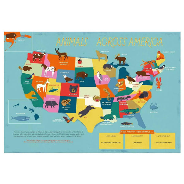 The 50 States: Activity Book - by Gabrielle Balkan