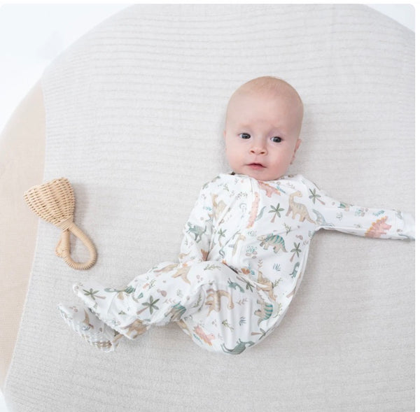 Sweet Baby Dinos 2-Way Zipper Footie