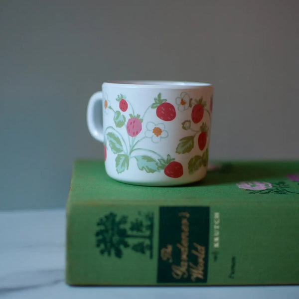 Strawberry Sippy Cup