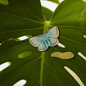 Karner Blue Butterfly Pin Set