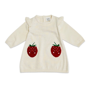 Strawberry Embroidered Pocket Ruffle Dress