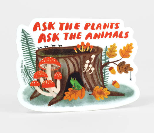 Little Truths Studio Stickers