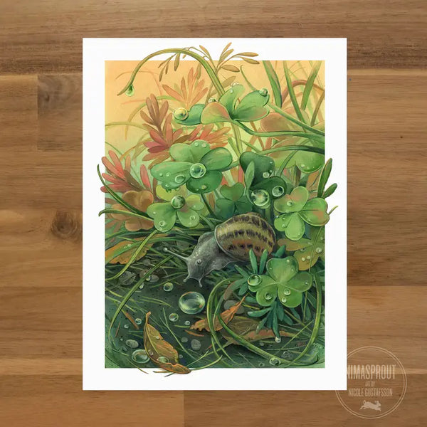 Nimasprout’s 6x8 Prints