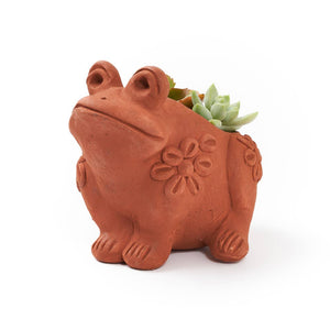 Terracotta Frog Planter