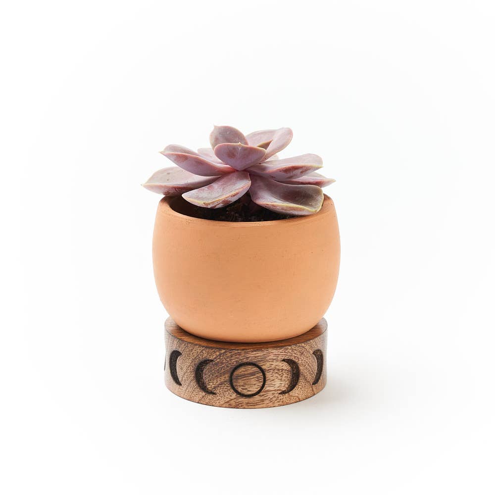 Terracotta Planter with Moon Phase Stand