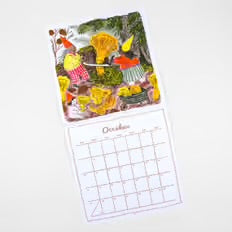 Fairyland 2027 Wall Calendar