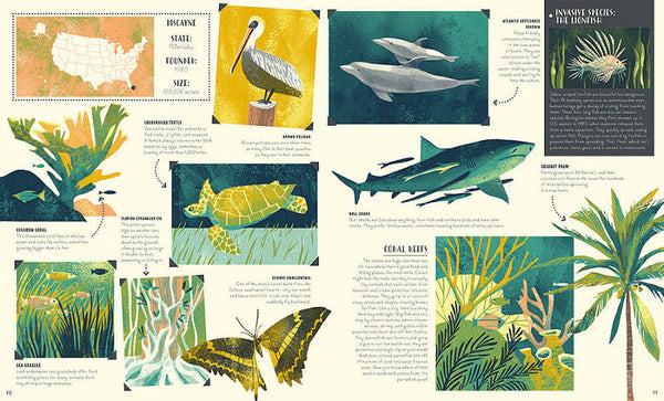 National Parks of the USA: Activity Book: With More Than 15 Activities, A Fold-out Poster, and 50 Stickers!