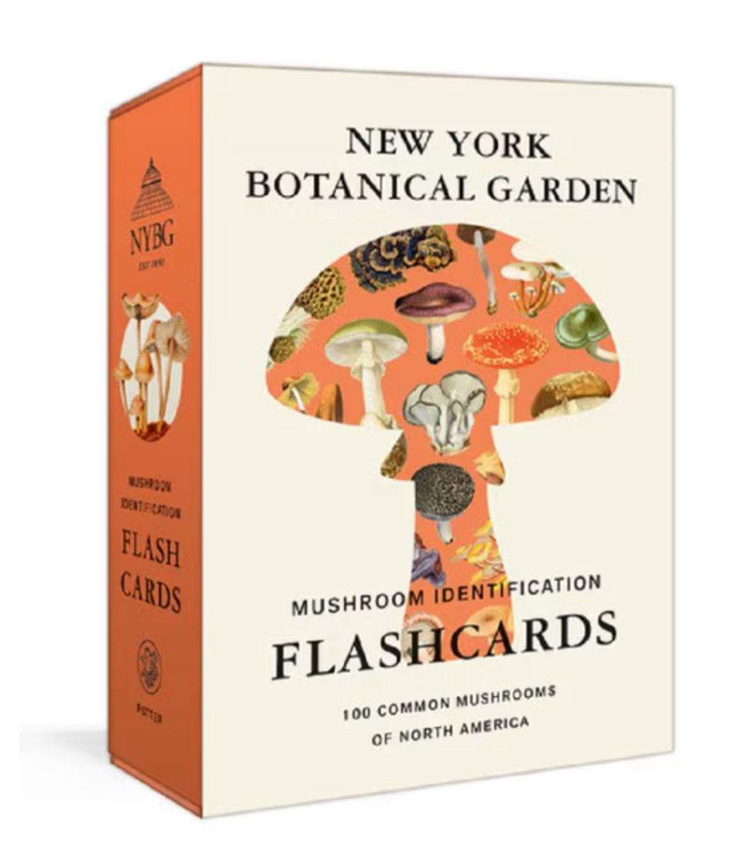 New York Botanical Garden Mushroom Identification Flashcards
