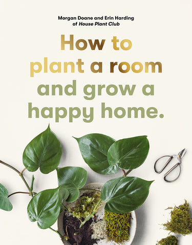 How To Plant A Room & Grow A Happy Home