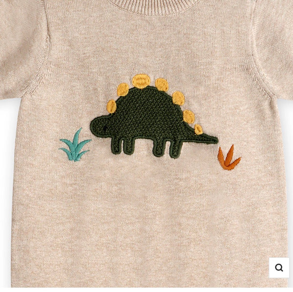 Dino Applique Baby Knit Romper