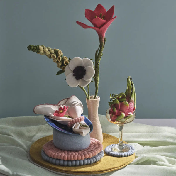 French Anemone - White