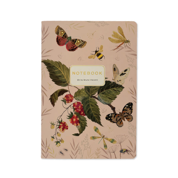 BV A5 Illustrated Notebooks