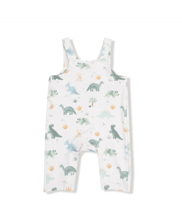 French Terry Dino Overalls