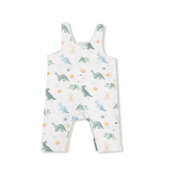 French Terry Dino Overalls