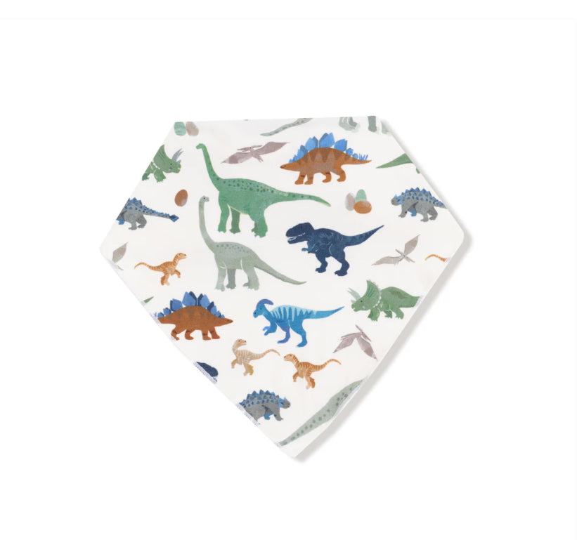 Washy Dino Bandana Bib