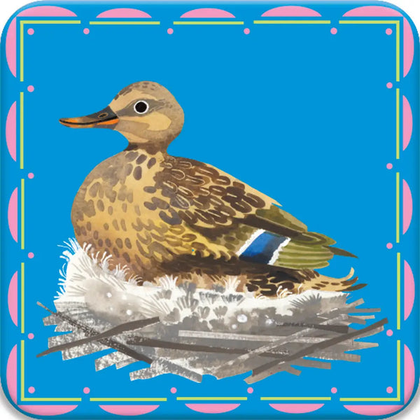 Birds Little Memory & Matching Game