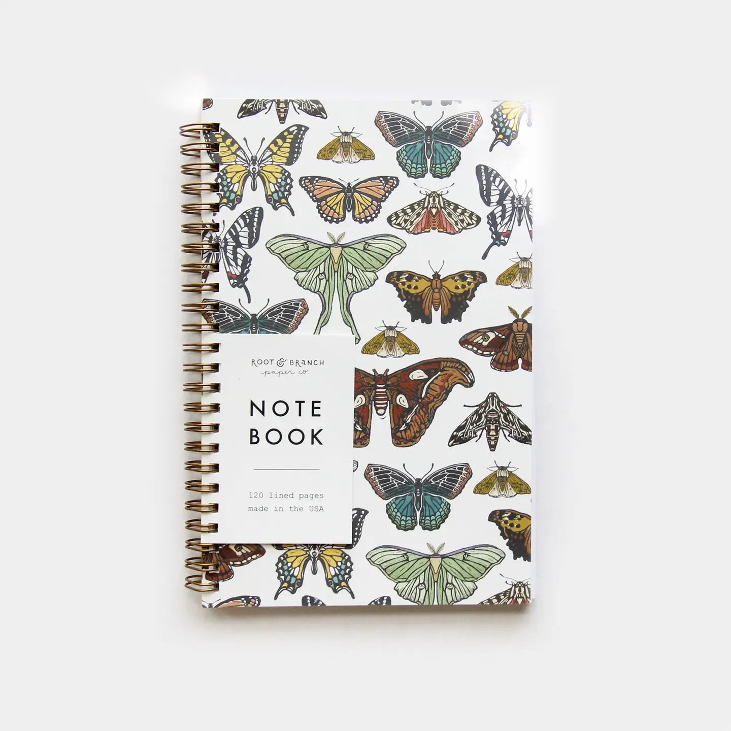 Root & Branch Notebooks