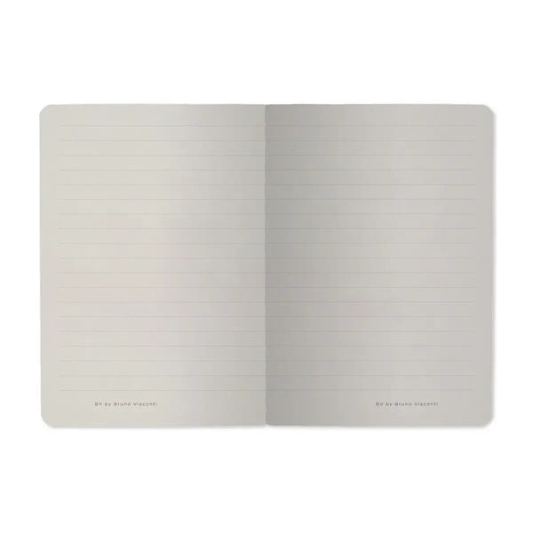 BV A6 Illustrated Passport Notebooks