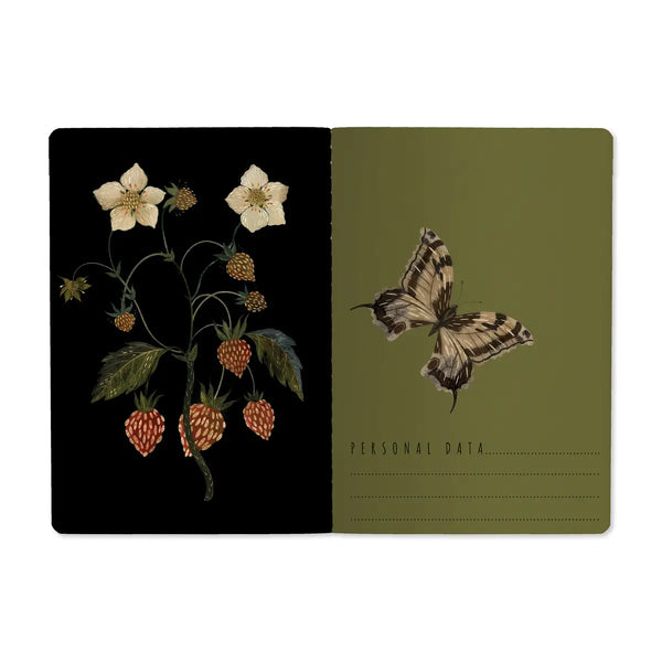 BV A6 Illustrated Passport Notebooks