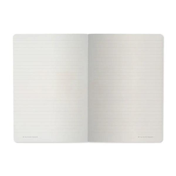 BV A5 Illustrated Notebooks