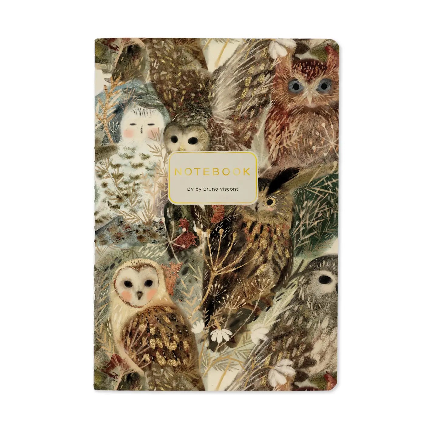 BV A5 Illustrated Notebooks