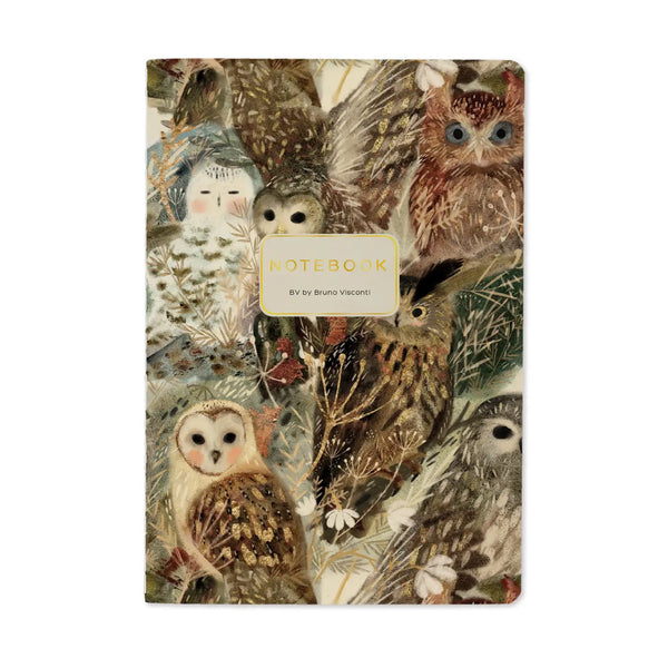 BV A5 Illustrated Notebooks