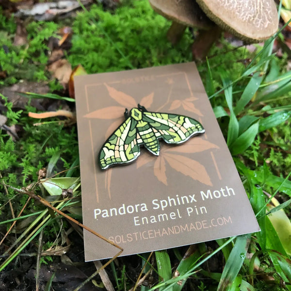 Pandora Sphinx Moth Pin Set