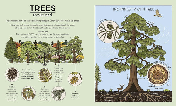 Nature Explained: A family guide to 20 nature cycles