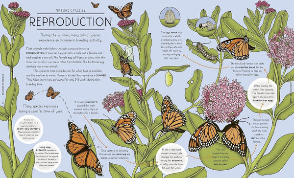 Nature Explained: A family guide to 20 nature cycles