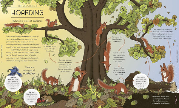 Nature Explained: A family guide to 20 nature cycles