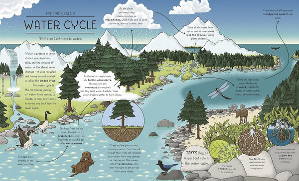 Nature Explained: A family guide to 20 nature cycles