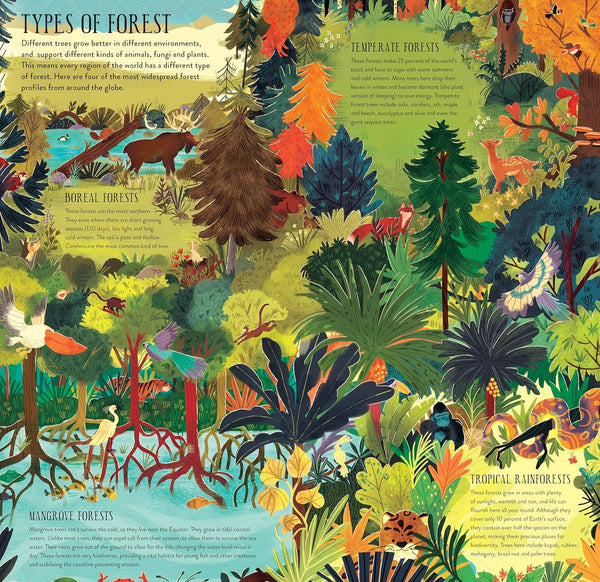 MAKE AND PLAY: BUILD A TREE