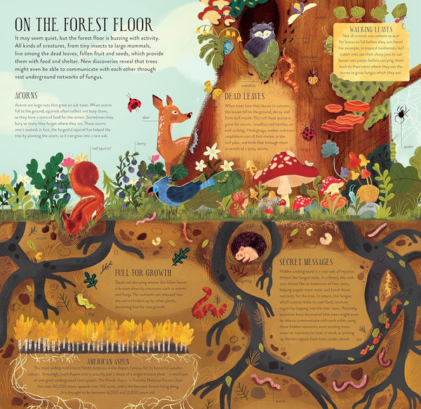 MAKE AND PLAY: BUILD A TREE