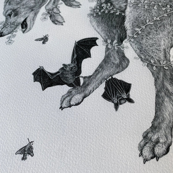 Red Wolf & Long-Eared Bats Print