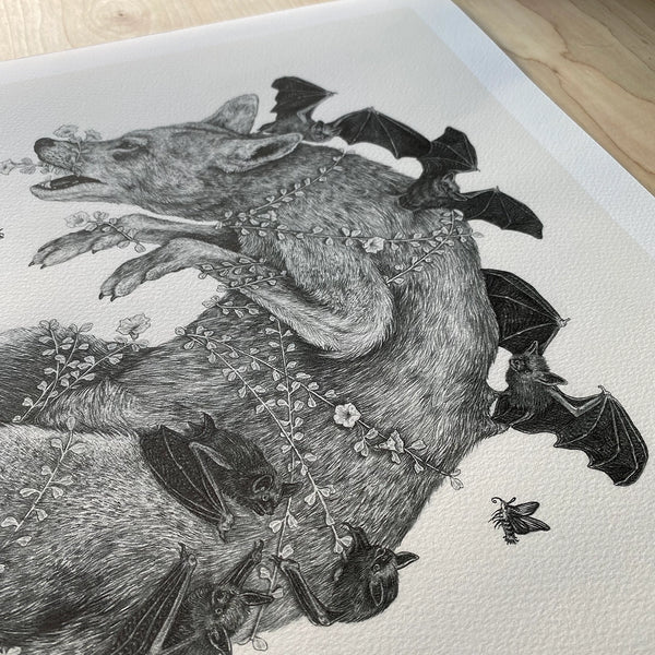 Red Wolf & Long-Eared Bats Print