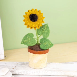 Potted Wool Flowers