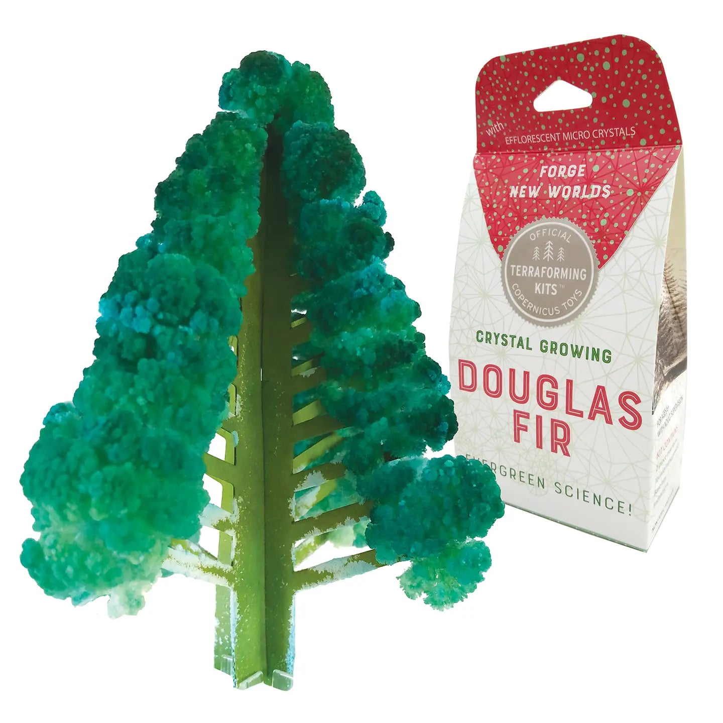 Crystal Growing Douglas Fir | Craft Kit Science Kit