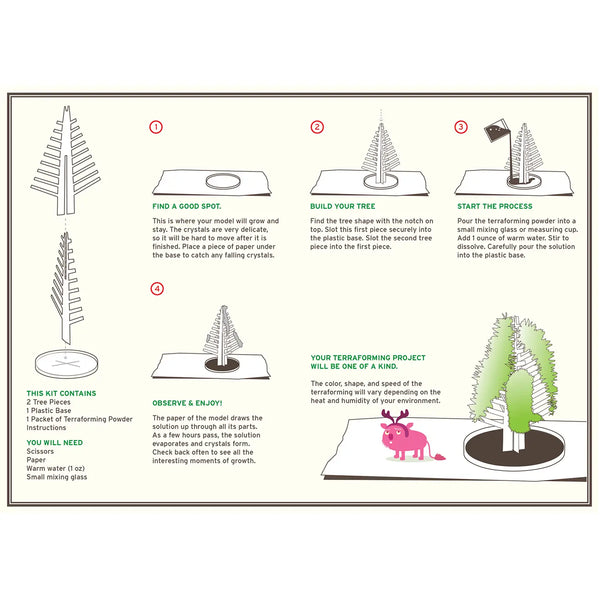 Crystal Growing Douglas Fir | Craft Kit Science Kit