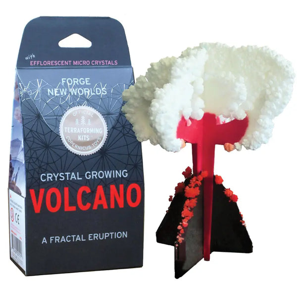 Crystal Growing Volcano |  Craft Kit Science Kit