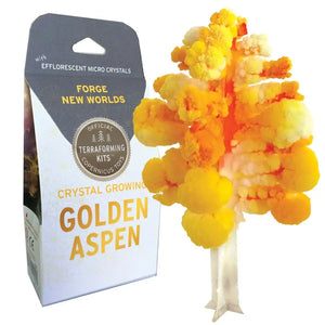 Crystal Growing Aspen |  Craft Kit Science Kit Fall Craft