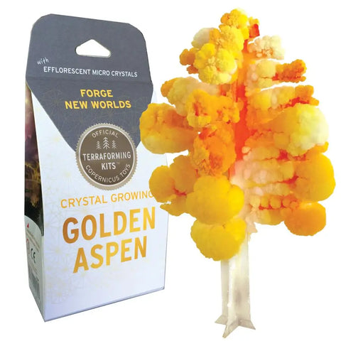 Crystal Growing Aspen |  Craft Kit Science Kit Fall Craft