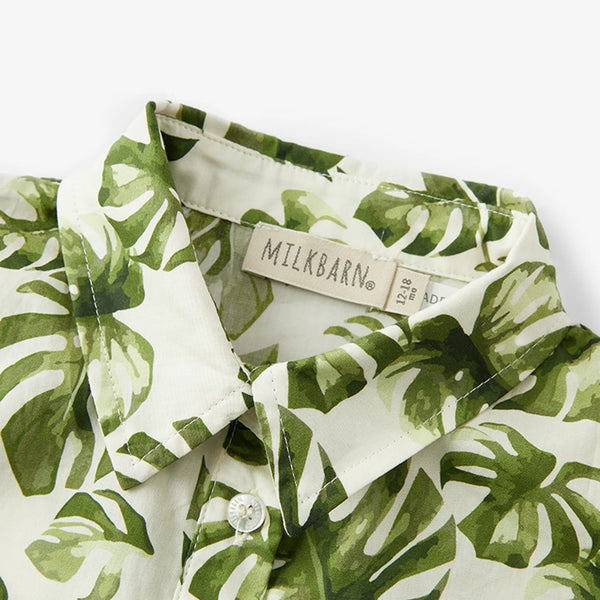 Collared Shortall Island Leaf