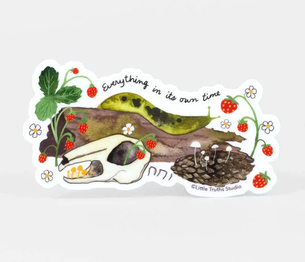 Little Truths Studio Stickers