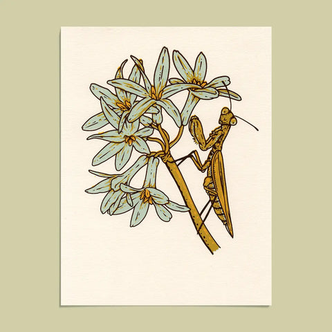 Praying Mantis Giclee Print