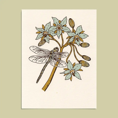 Dragonfly Giclee Print