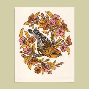 Palm Warbler+Plum Blossom Giclee Print