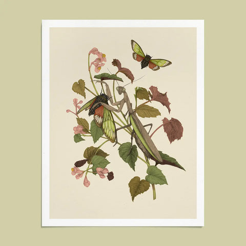 Praying Mantis+Cicadas Fine art print