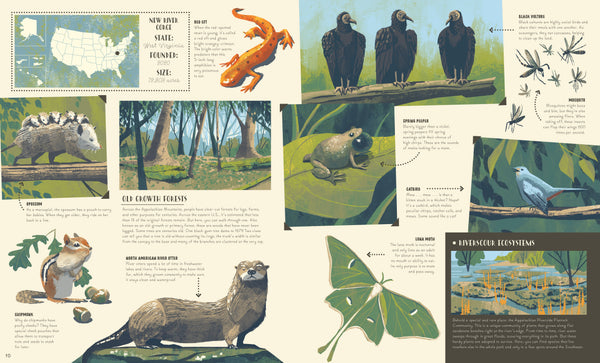 National Parks of the U.S.A