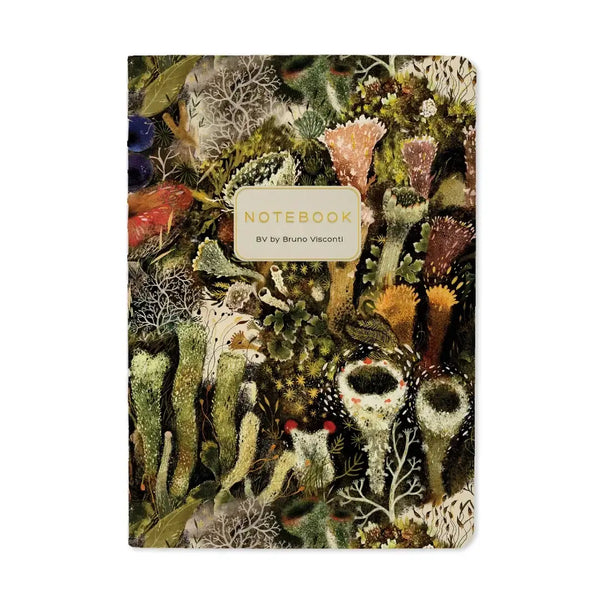 BV A6 Illustrated Passport Notebooks