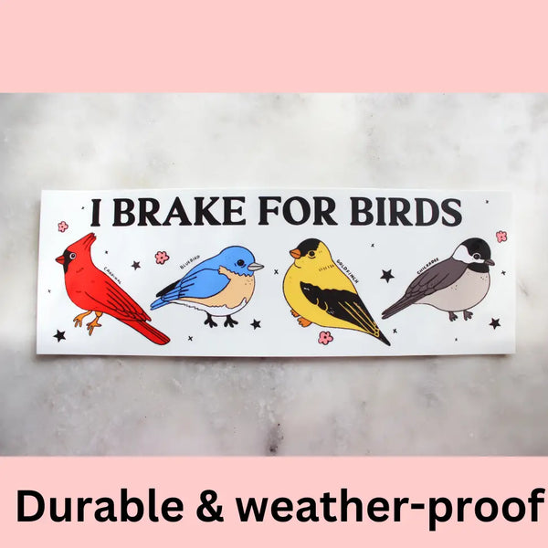 Very Silly Bumper Stickers